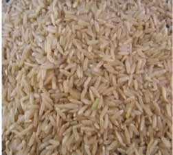 Manufacturers Exporters and Wholesale Suppliers of Pr11 Brown Rice Nagpur Maharashtra